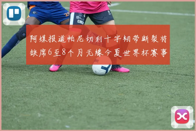 阿媒报道帕尼切利十字韧带断裂将缺席6至8个月无缘今夏世界杯赛事